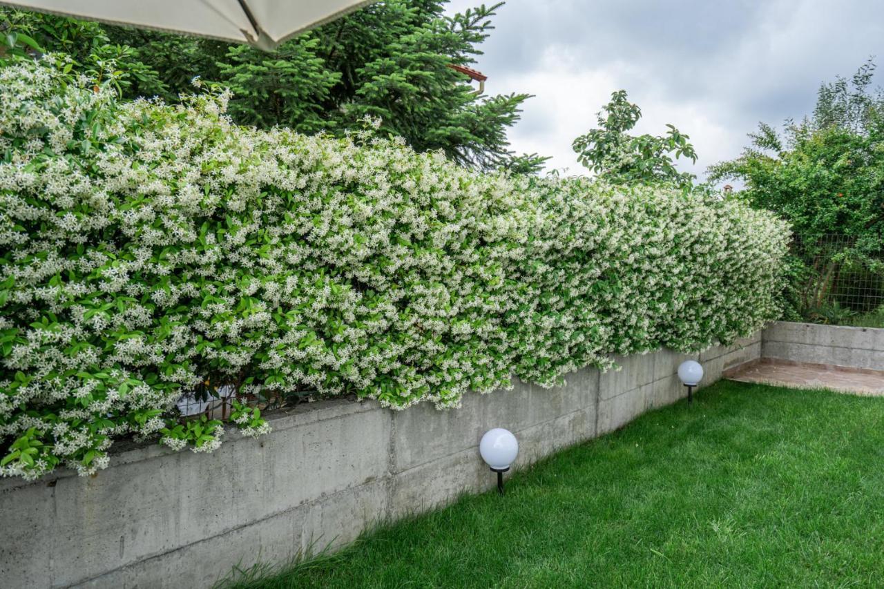 Veria Panorama Luxury Suite With Garden 2 Exteriör bild